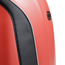 Mochila Dainese D-mach Backpack